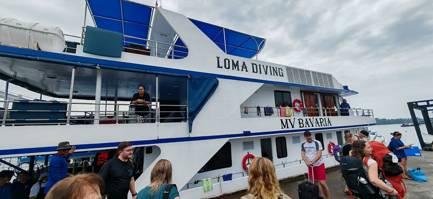 Eine Woche Tauchsafari mit der MV Bavaria 