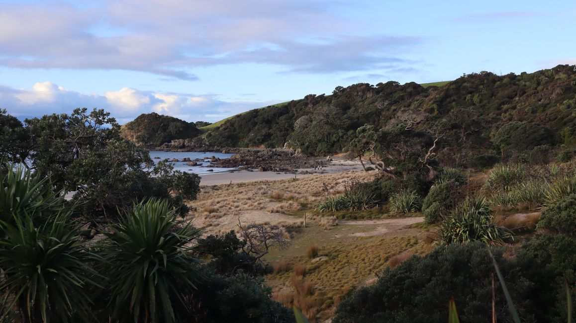 Tawharanui Regional Park