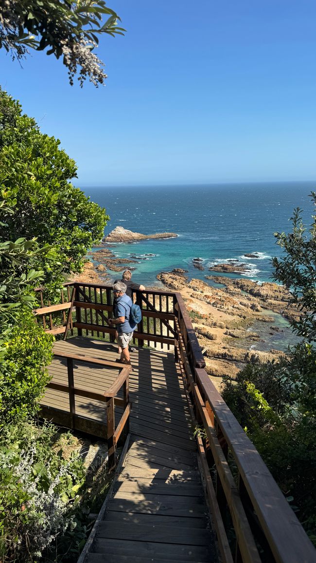 De la safari al mar