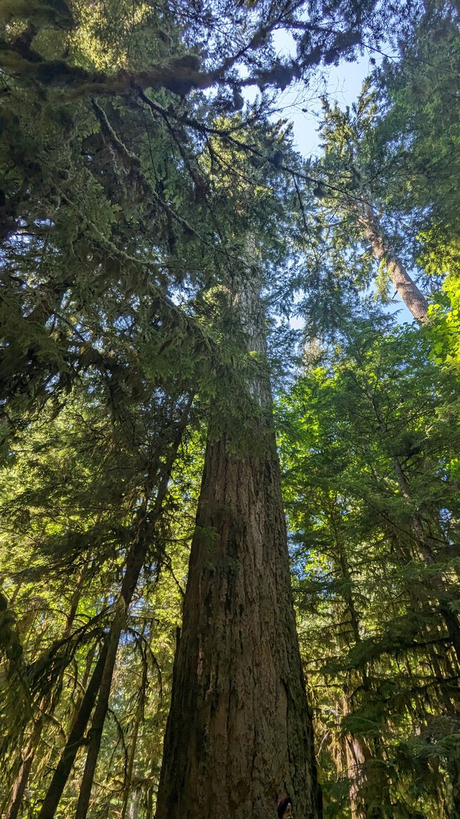 Playa Qualicum