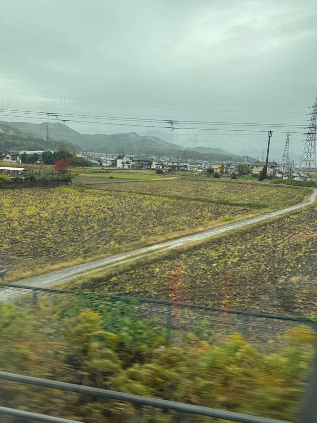 Shinkansen 🫶& Kyoto