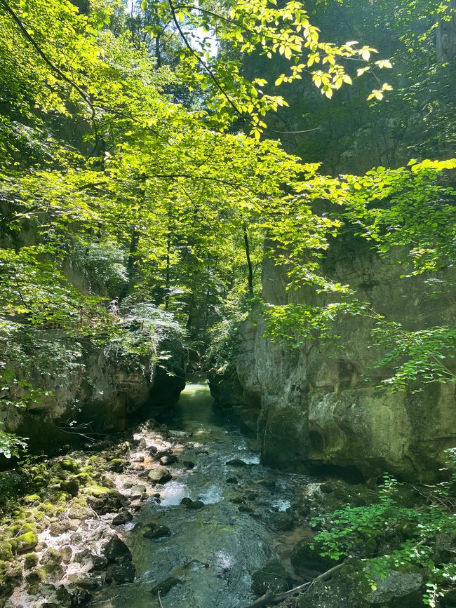 Gorges de la Thielle et vieille ville de Bienne
