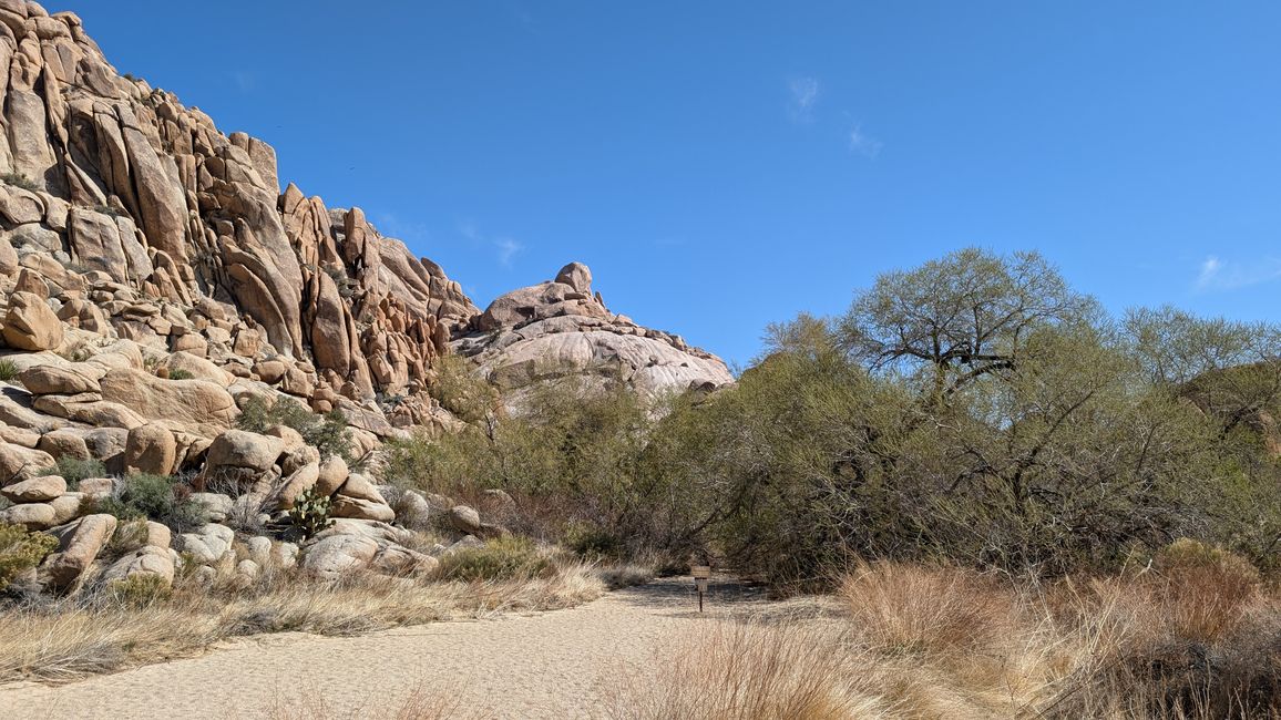 USA - Las Vegas and more ...   road trip 2025