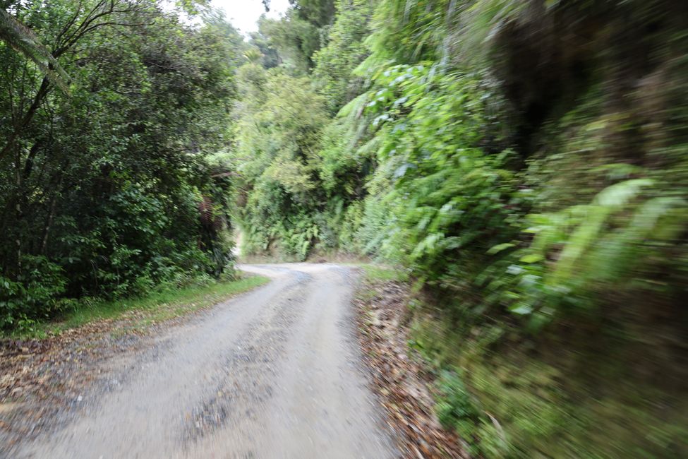 Abel Tasman