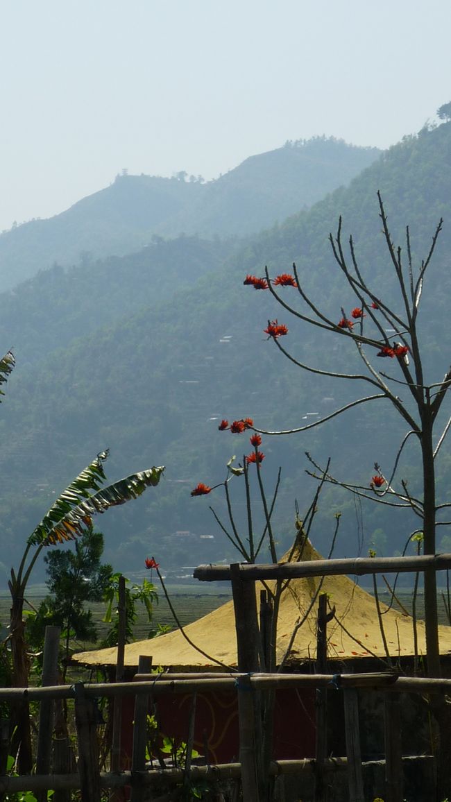 Hello Nepal