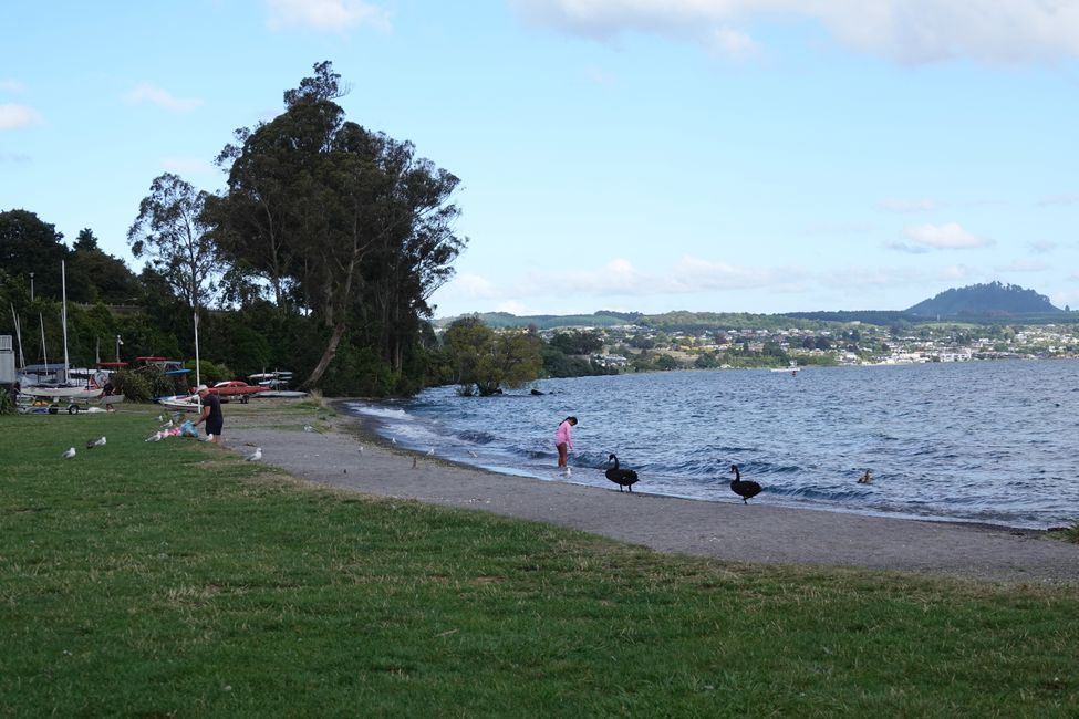 .... e Aratiatia Rapids