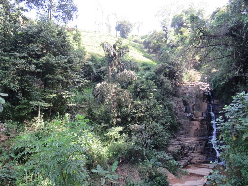 Nuwara Eliya - Dans les Highlands
