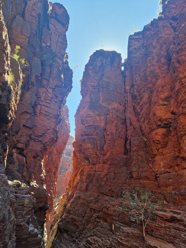 Al final de Knox Gorge