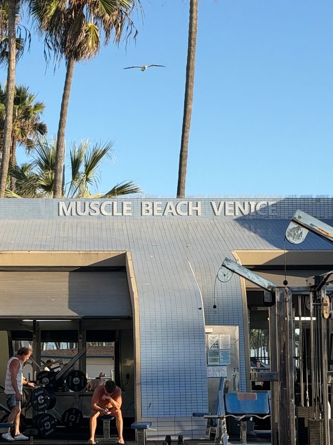 Muscle Beach