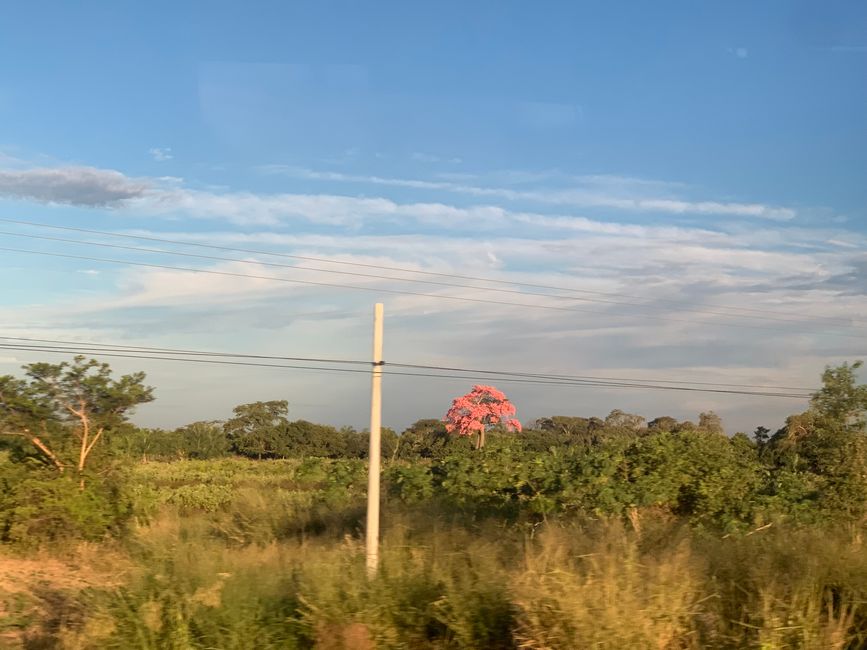 Fahrt nach Santa Cruz 
