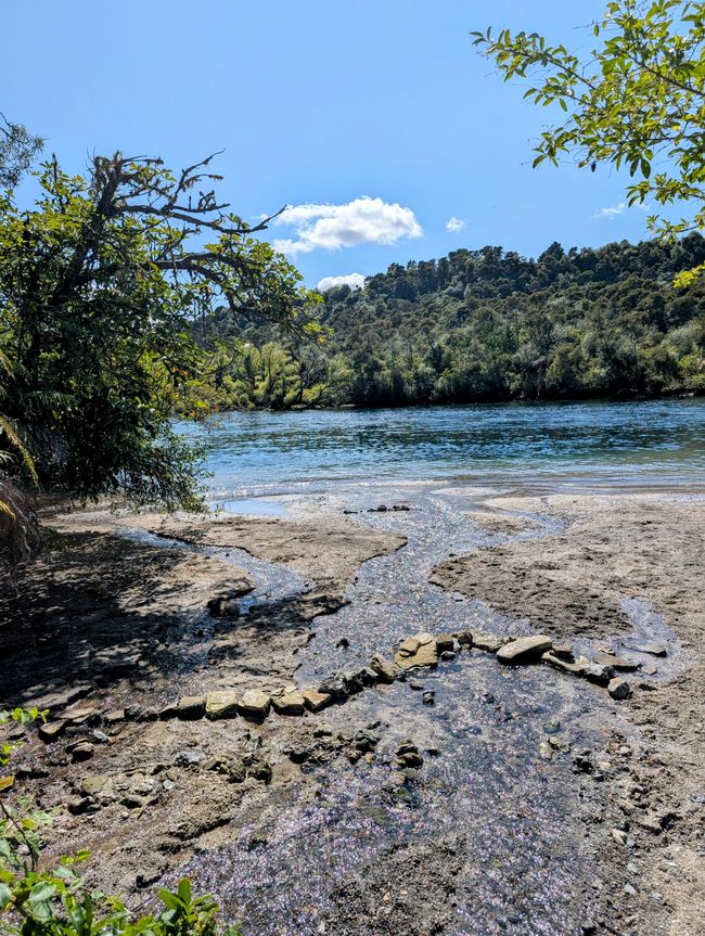 Taupo - fast alles genau richtig so