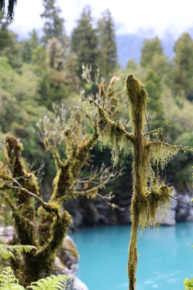 An der West Coast weiter Richtung Süden
