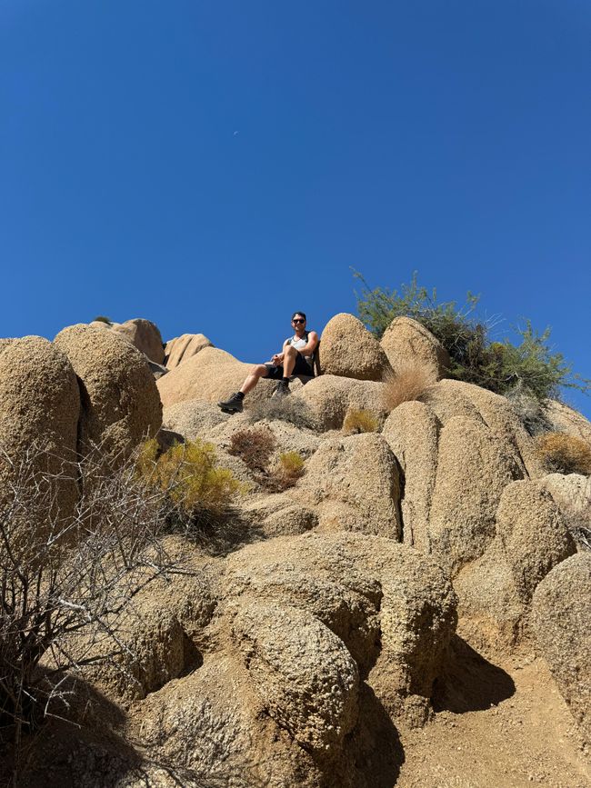 26.09. Joshua Tree