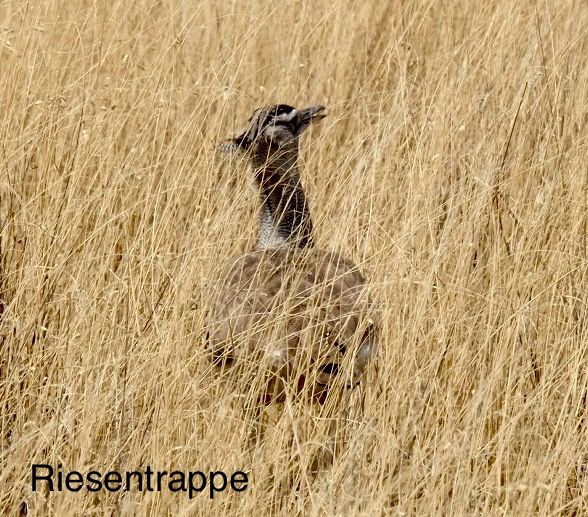 Etosha - we are here!