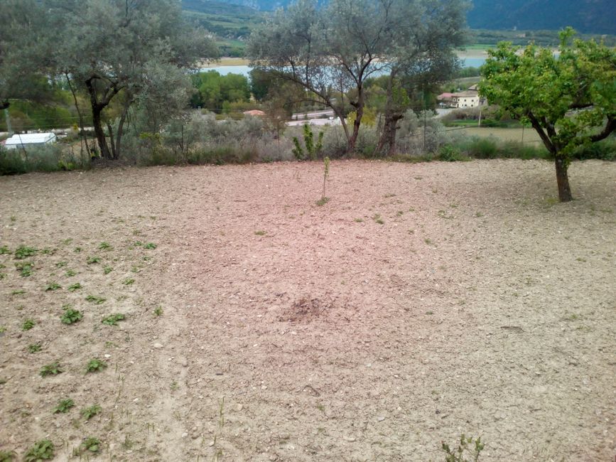 Fotos de Sant Joan de Vinyafrescal (la Pobla de Segur, Pallars Jussà, Lleida)