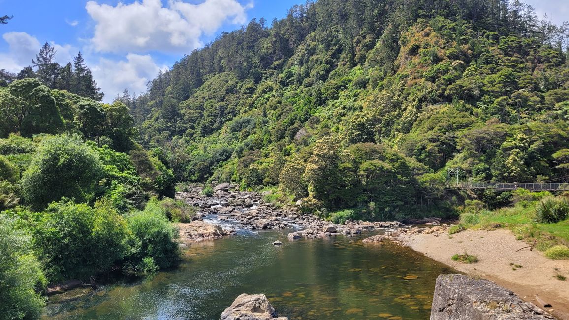 On the Trail of the Gold and Ore Mine in the Karangahake Gorge