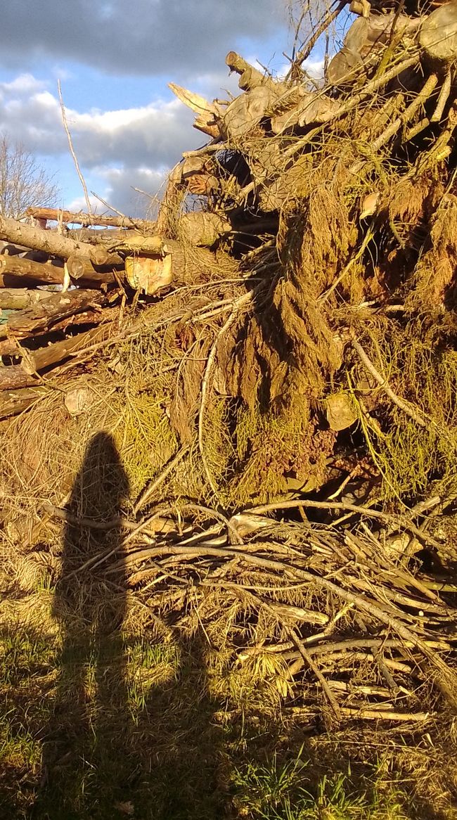 Zeitreise ins Holz, oder wie uns die Alten beschenken wollten 