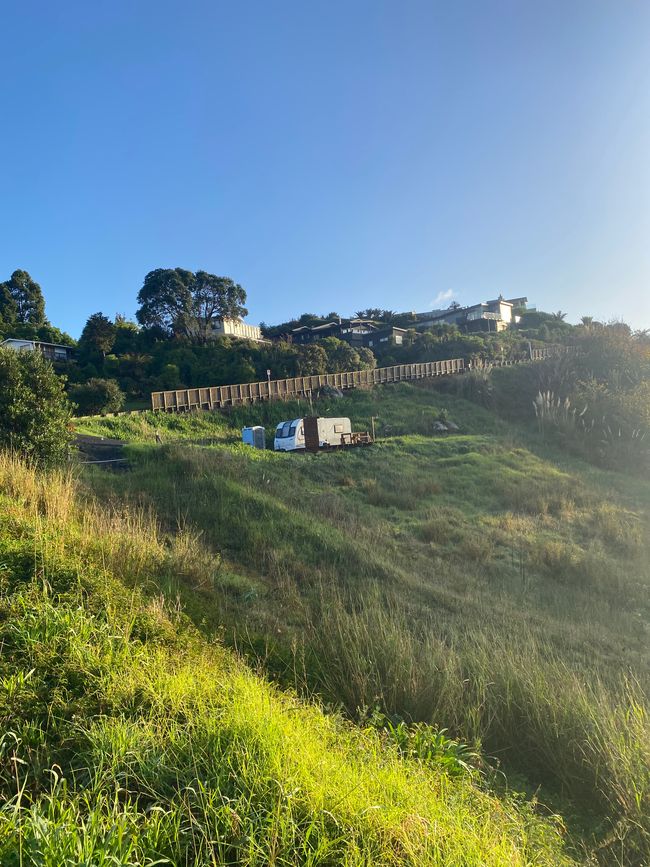 Coromandel loop