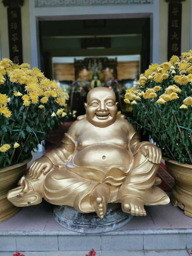 ... et sur le chemin du retour, encore un temple avec ce sympathique complice...