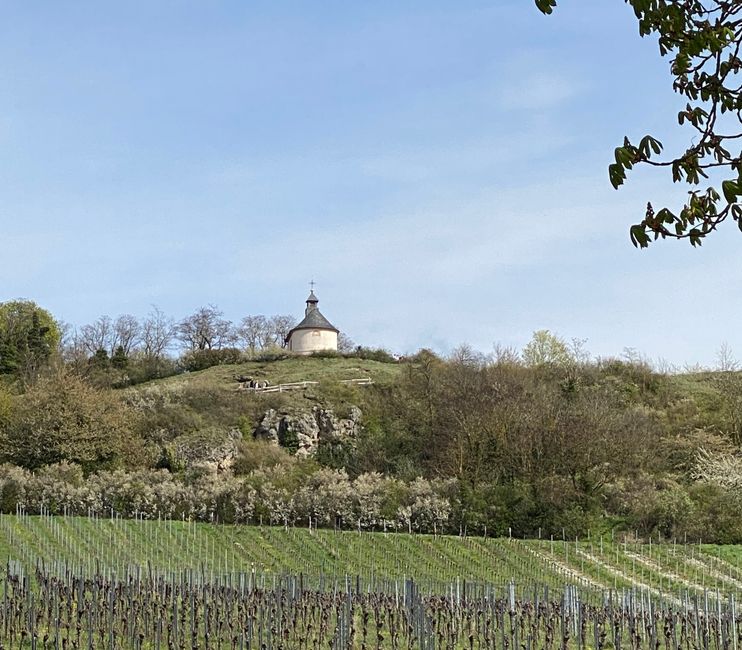 Die Kalmit-Kapelle vom unteren Weg aus oberhalb des Wingerts