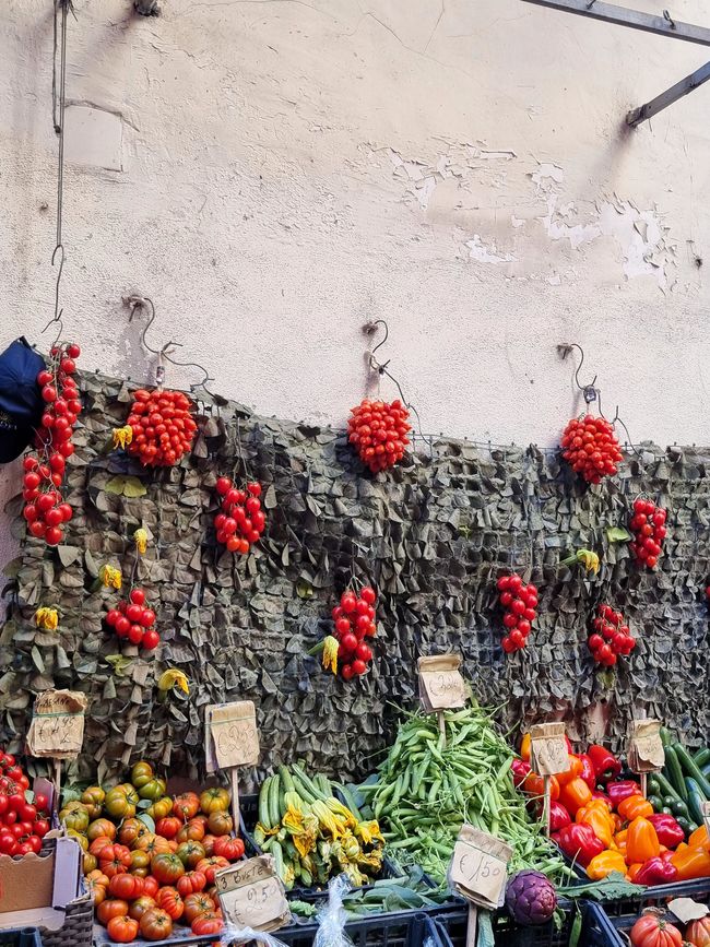 Tomaten - in Szene gesetzt