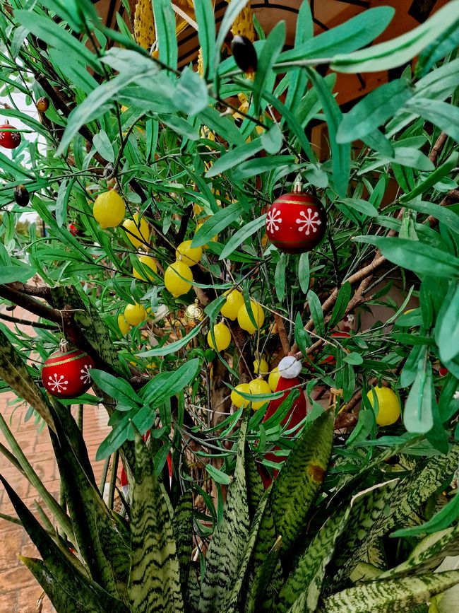 Luang Prabang - worauf kommt es an?