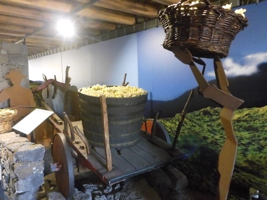 Weinmuseum Madalena