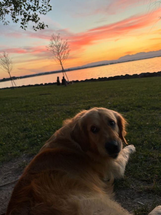 Sunset on Lake Garda
