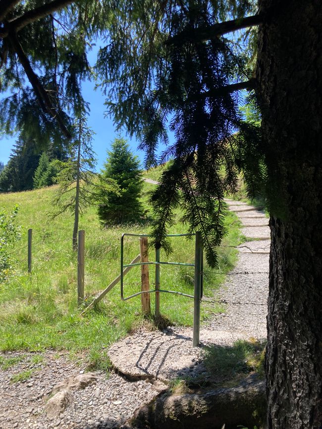 Genusswanderung zum Wertacher Hörnle