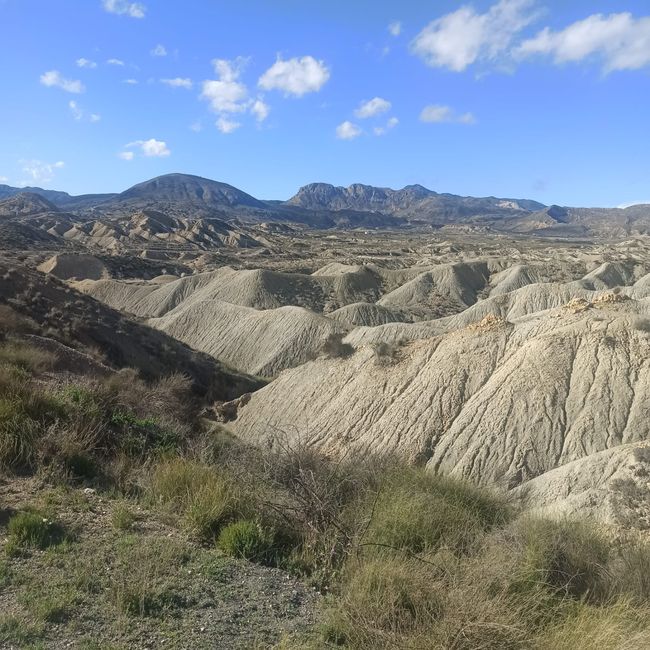 Wie eine WĂŒstenlandschaft...