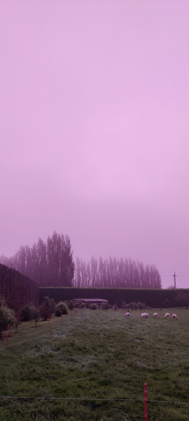 Zyklon Sonnenuntergang 