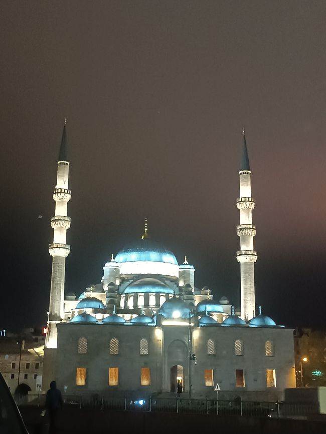 Überforderndes Istanbul / Türkei