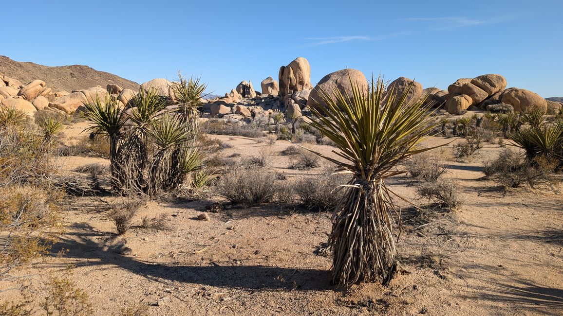 USA - Las Vegas and more ...   road trip 2025