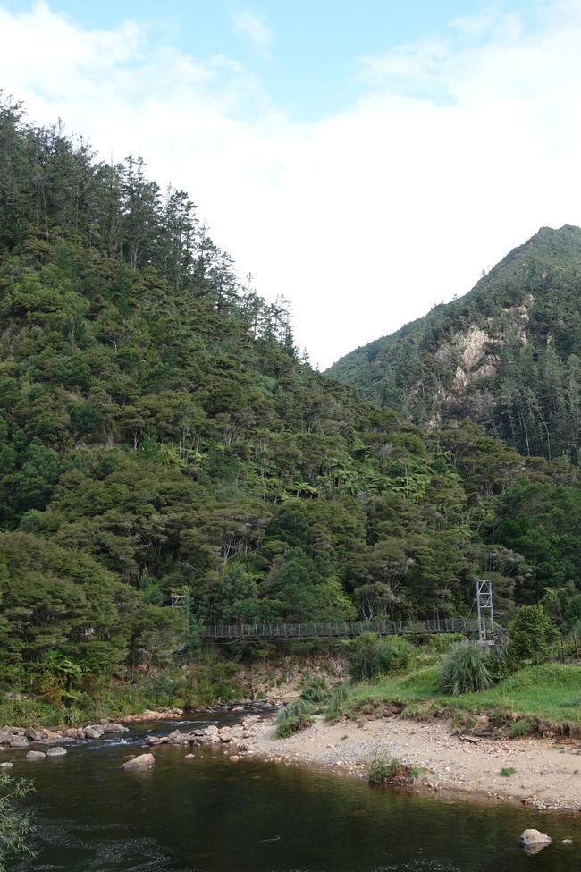 Papeete - Auckland - Coromandel
