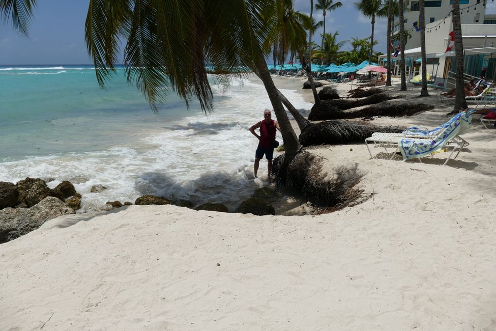 Primo impatto Barbados - Da sogno