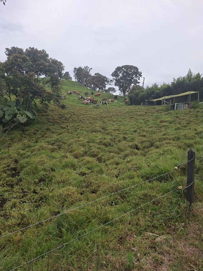 La ferme d'Esteban