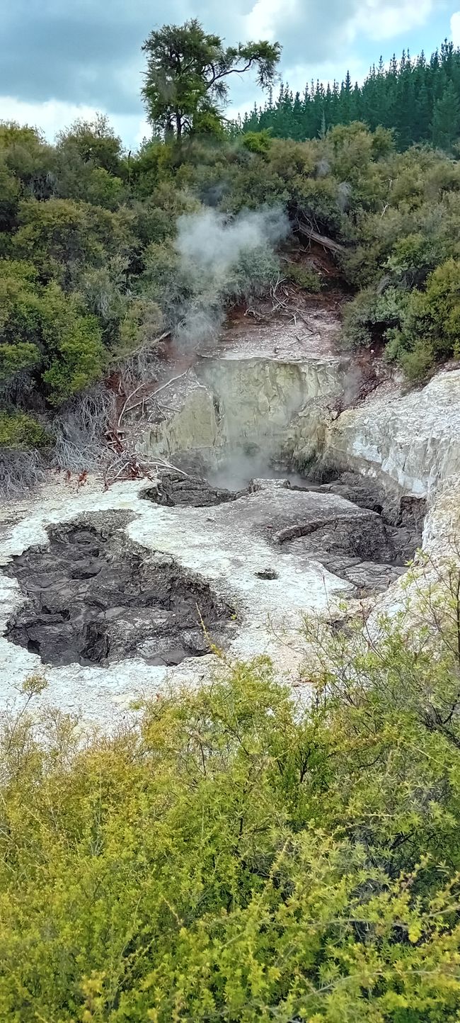 Wai-O-Tapu / Rotorua