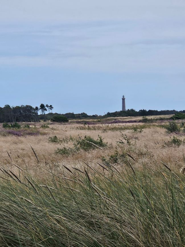 Skagen ● donde se encuentran el Mar del Norte y el Mar Báltico