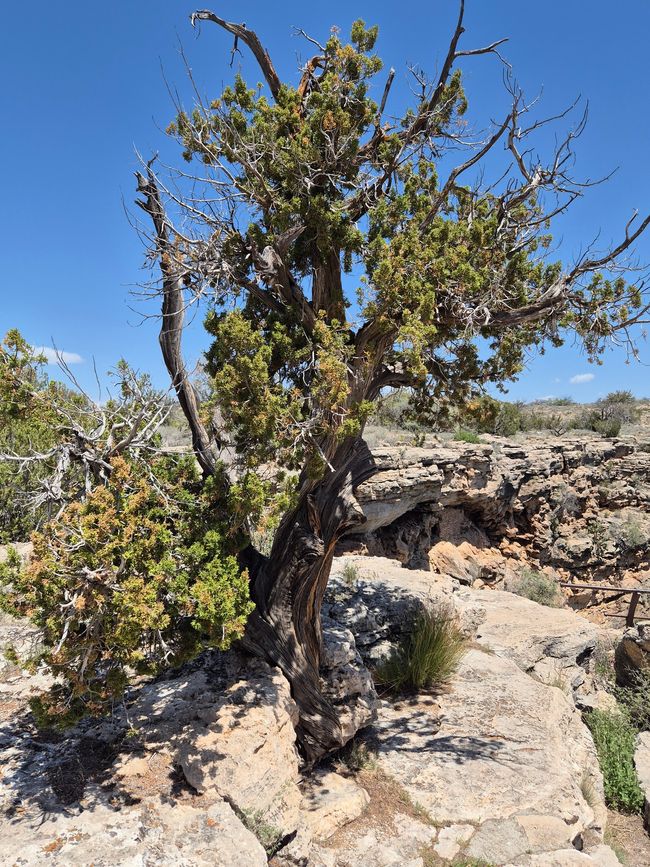 Montezuma Well