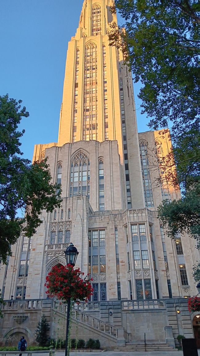 Università di Pittsburgh (Pitt)