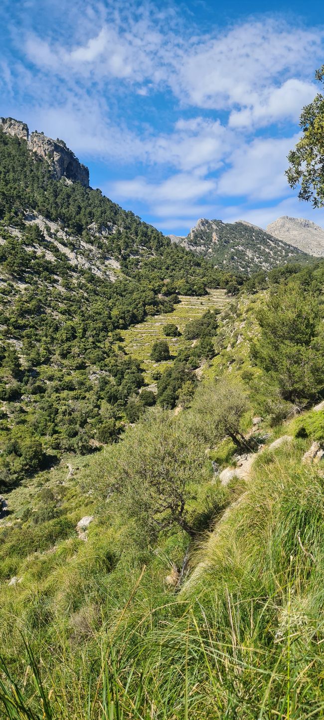 Die Königsetappe von Soller nach Refugi Tossals Verds
