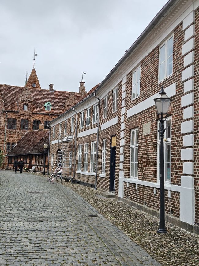 Ribe