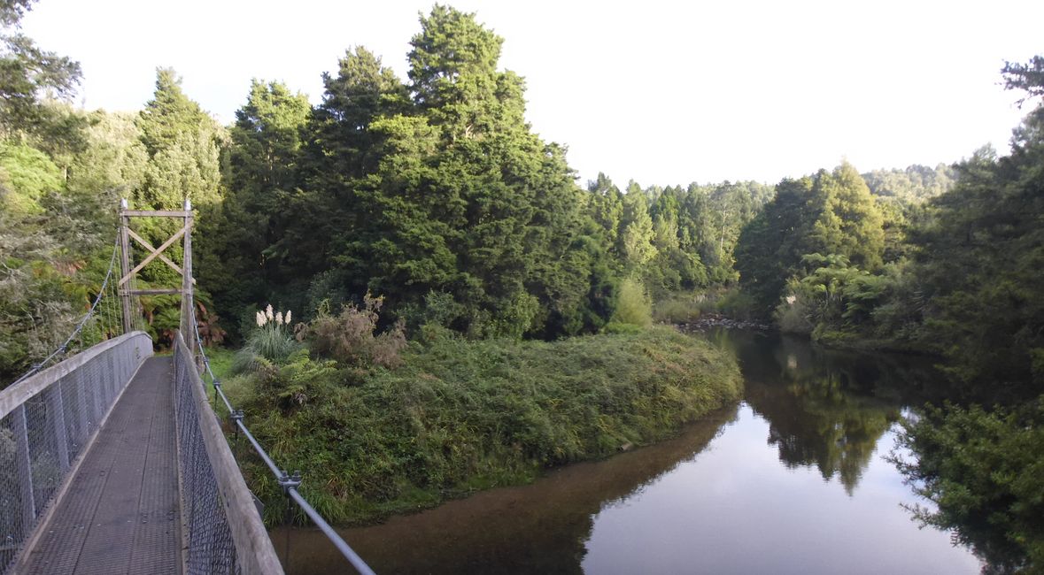 Promenade aux chutes de Dickey Flat