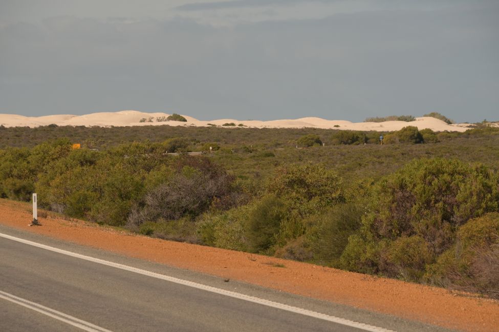 Nambung NP - White Sand Dune / White sand dune