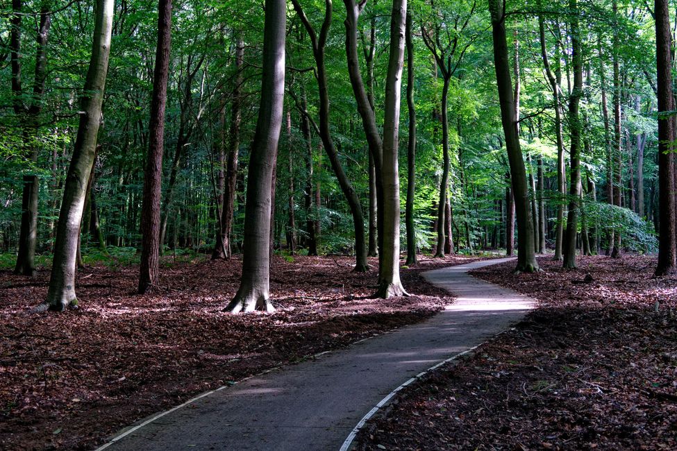 Radfahren in der Veluwe