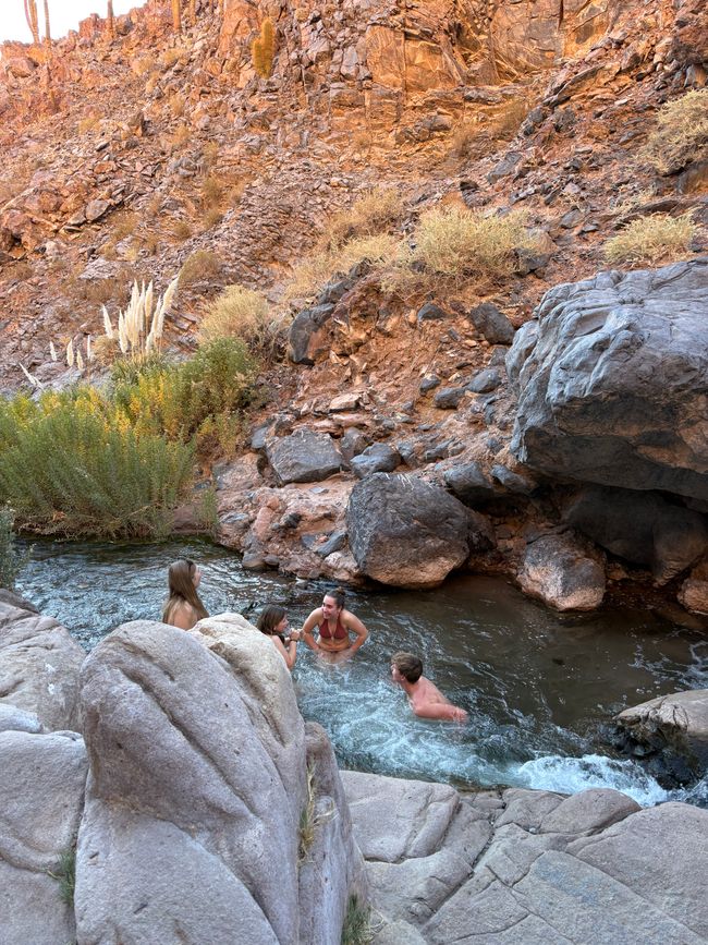 Désert d'Atacama 🦙🦩🌵