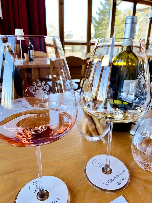 Tuscany Tour - Stop 3: Wine Tasting in Montalcino