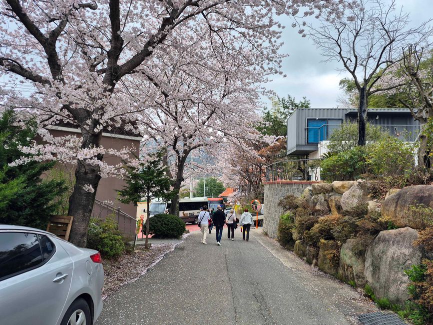 Centro de la ciudad de Busan