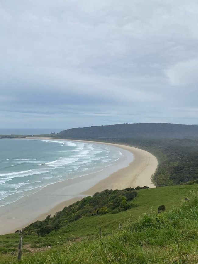 White Beach in the Catlins