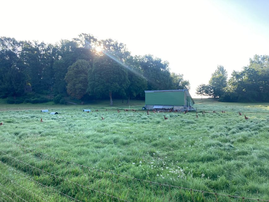 Von Liebenberg zur Mühle Tornow